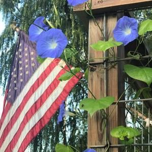 Meet your Posher, Cyndi